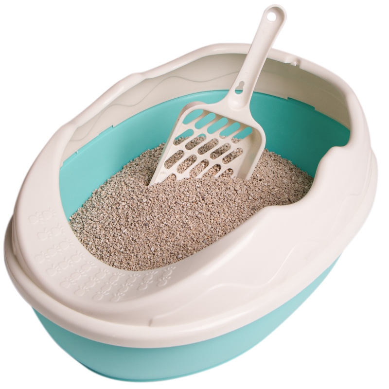 Furrever Friends Purrfect Point Litter Box - Turquoise